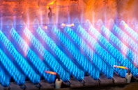 Gullom Holme gas fired boilers